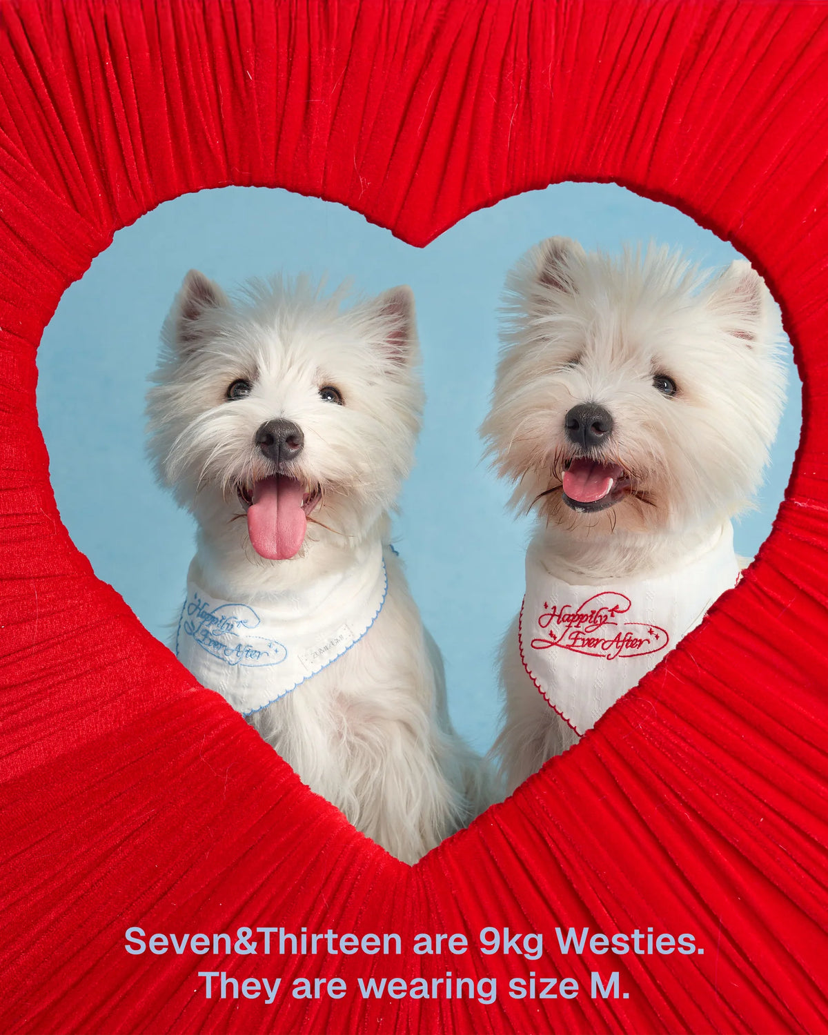ZUMIZUMI Happily Ever After Bandana in Red & White