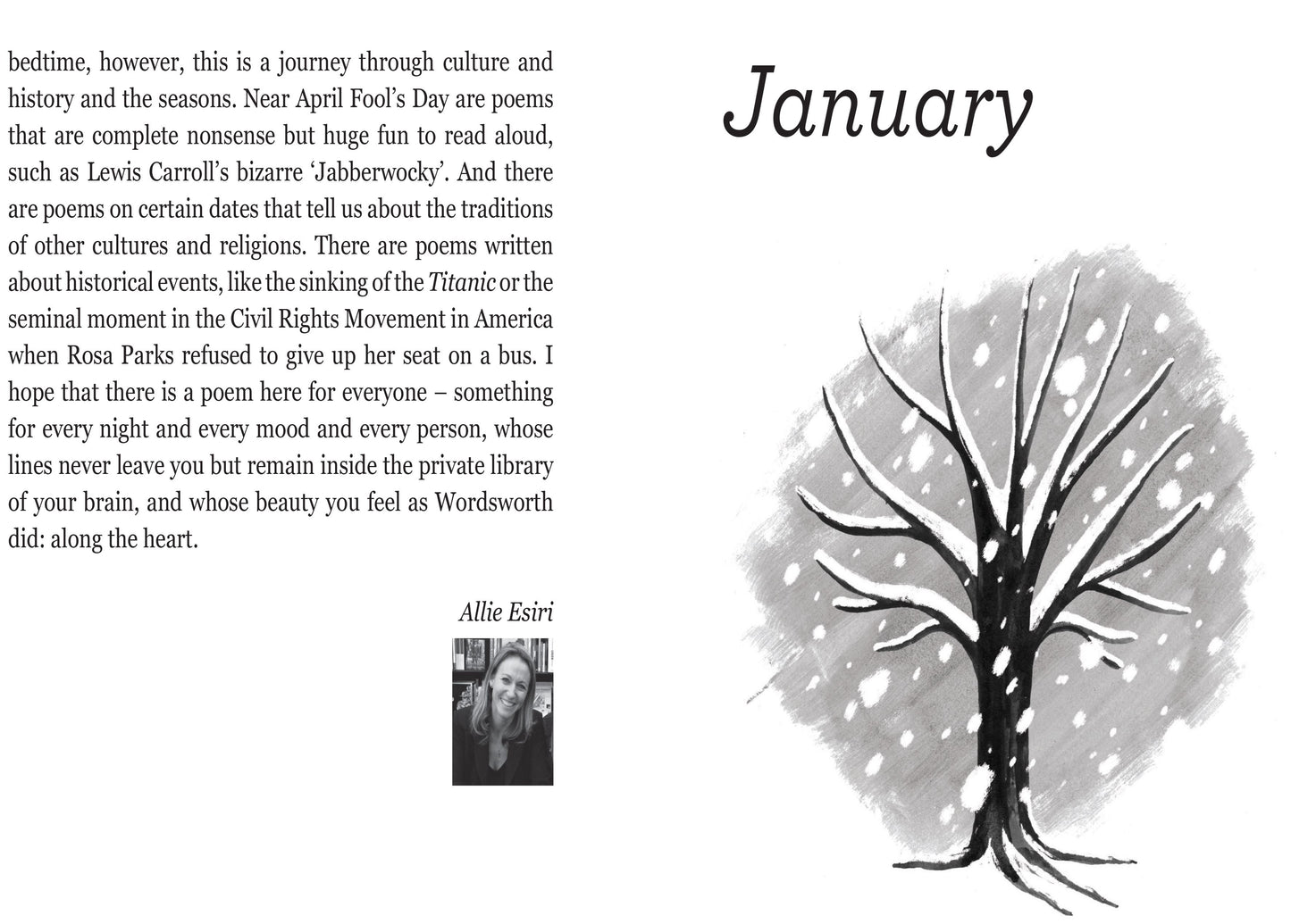 A Poem for Every Night of the Year (Hardcover)