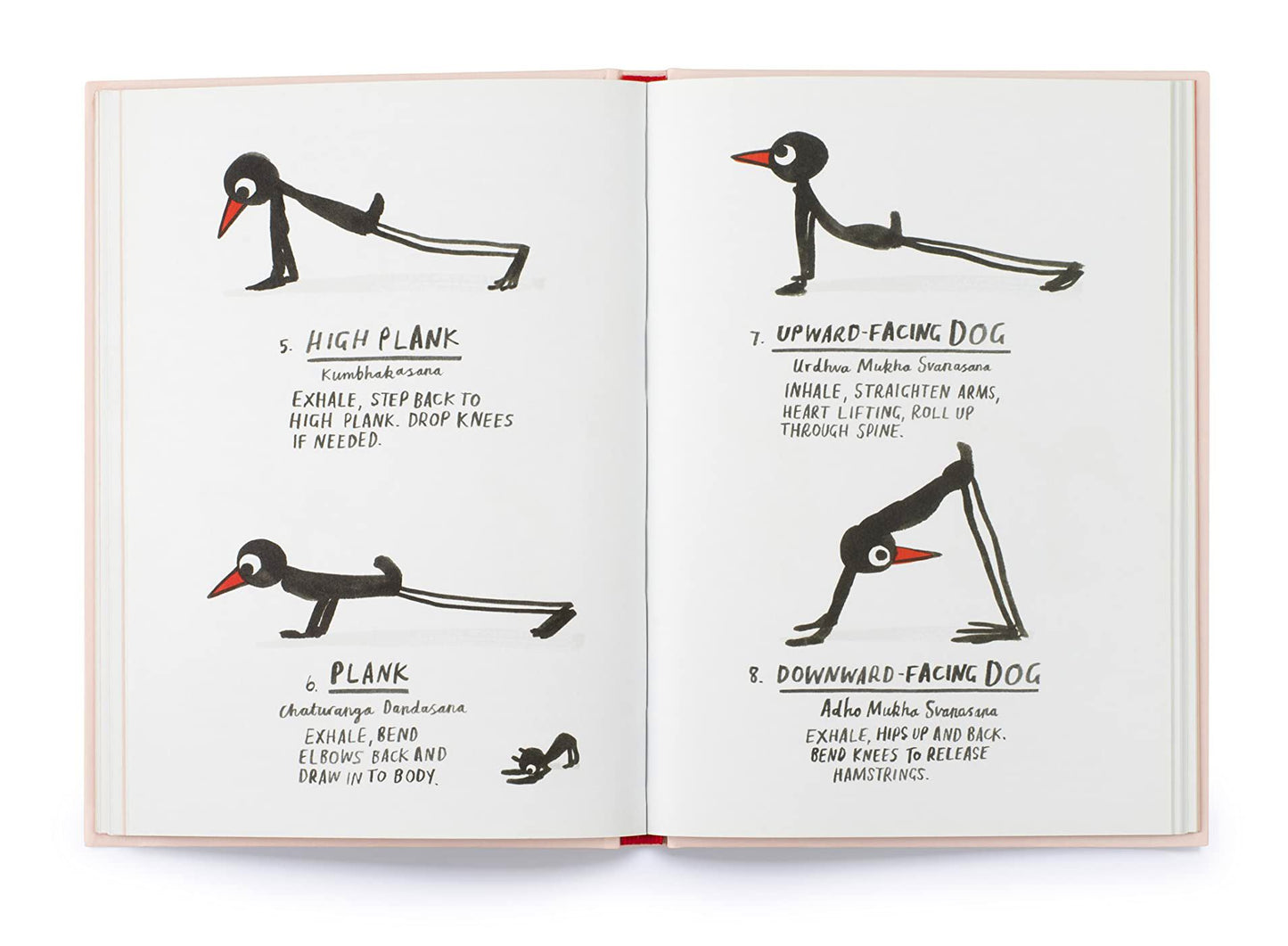 Yoga For Stiff Birds (Hardcover)