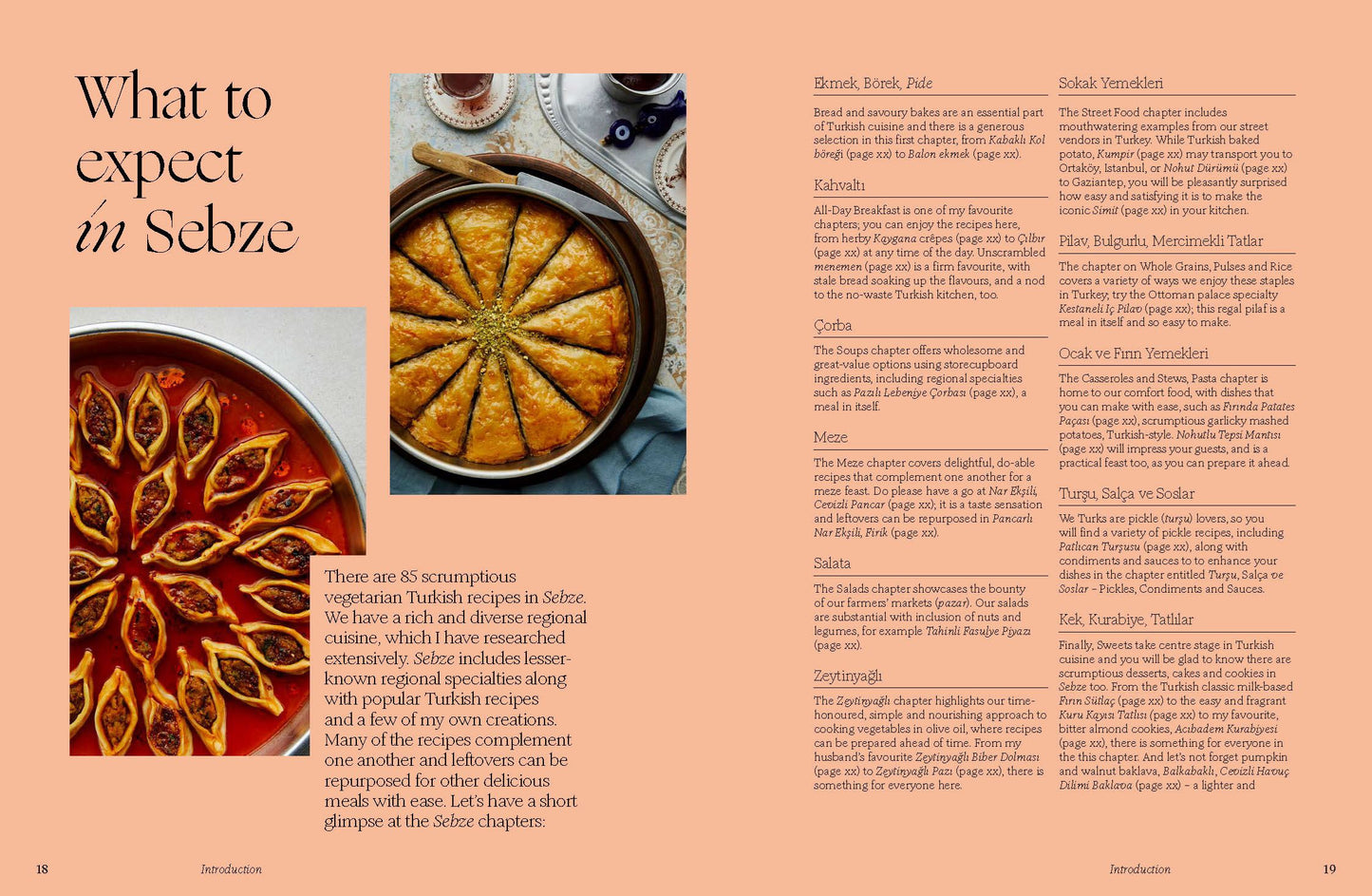 Sebze: Vegeterian Recipes From My Turkish Kitchen (HB)