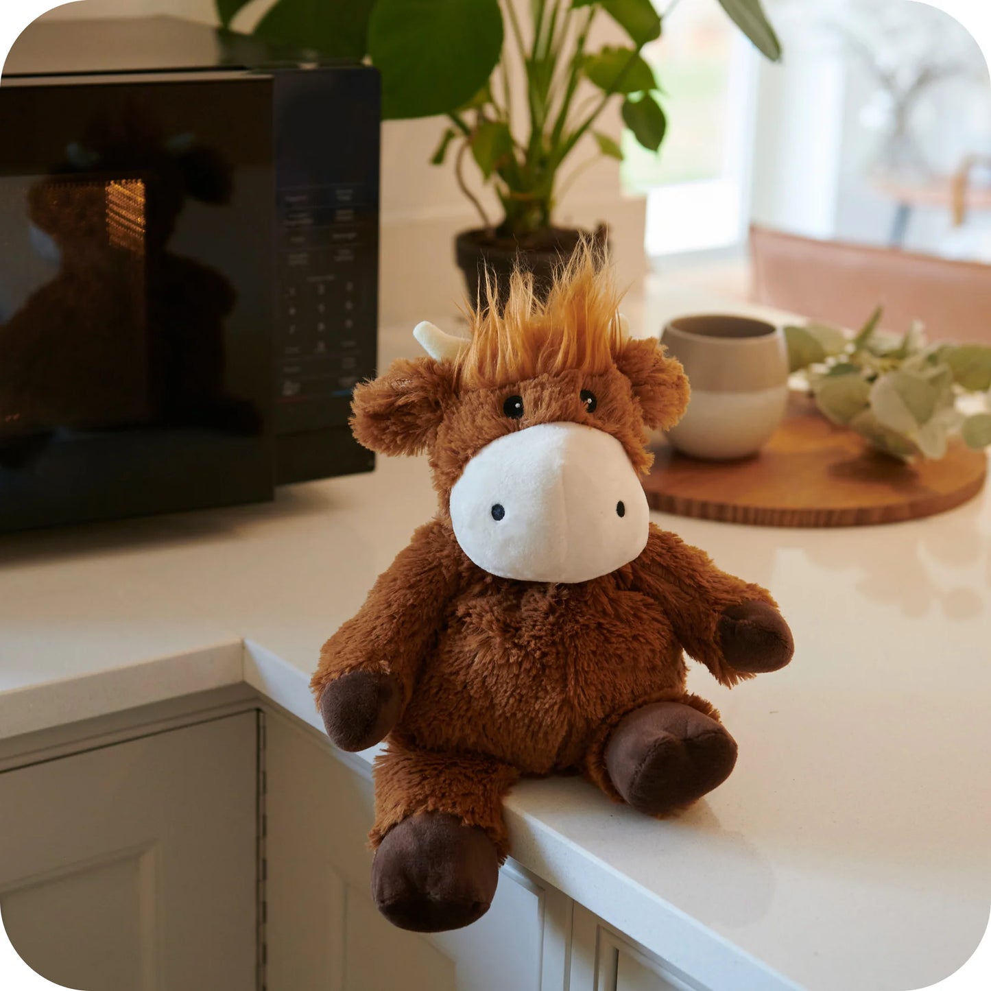 Warmies Highland Cow Snuggable Hottie Heatable Toy