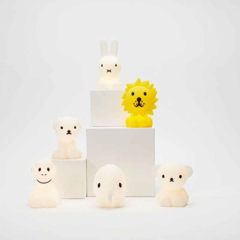 Mr Maria Miffy Bundle of Light