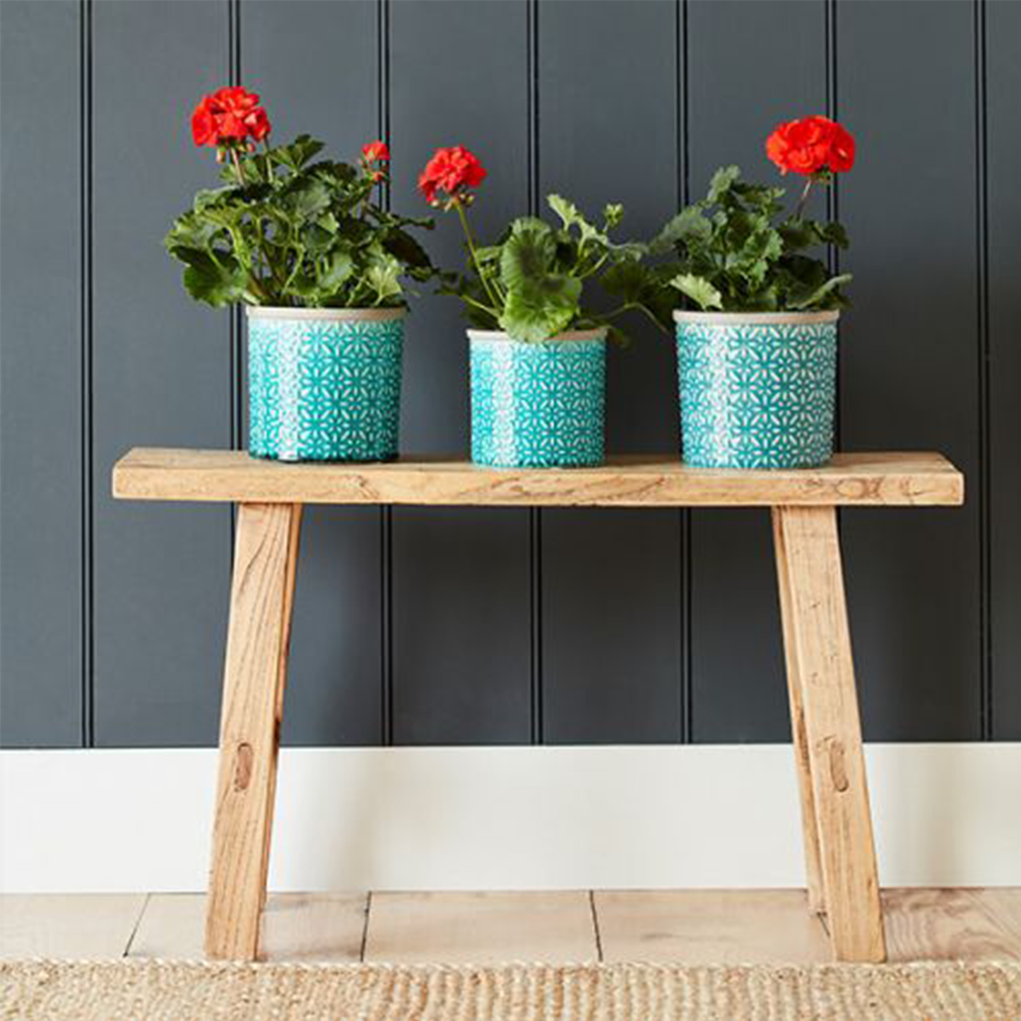 there plant pots sitting on a bench housing red flowers