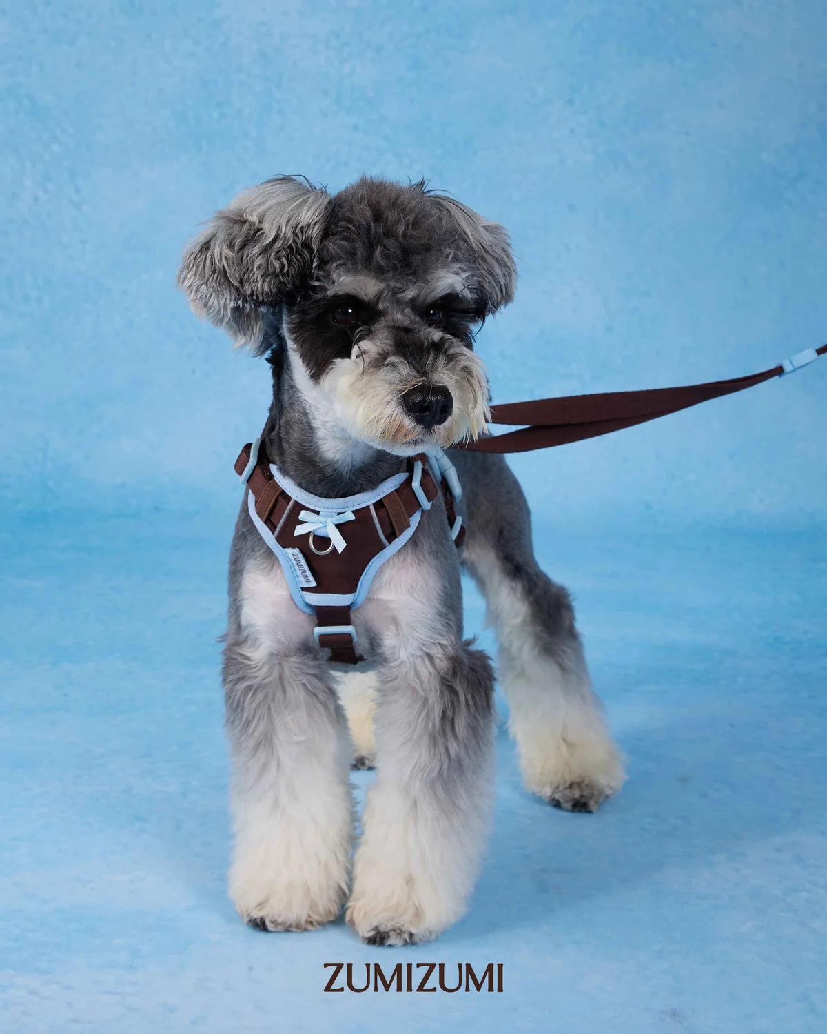 ZUMIZUMI Chelsea Everyday Step-in Harness in Small