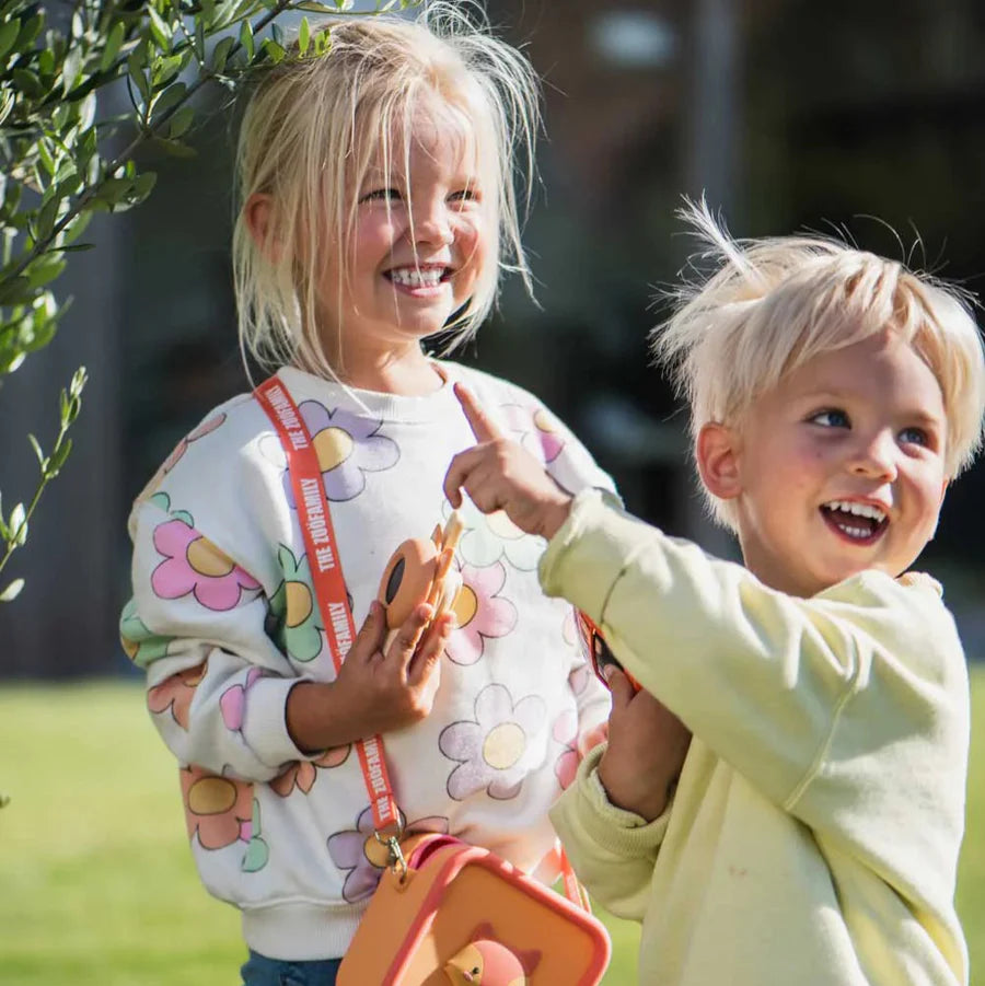 Zoo Walkie Talkie - Fox