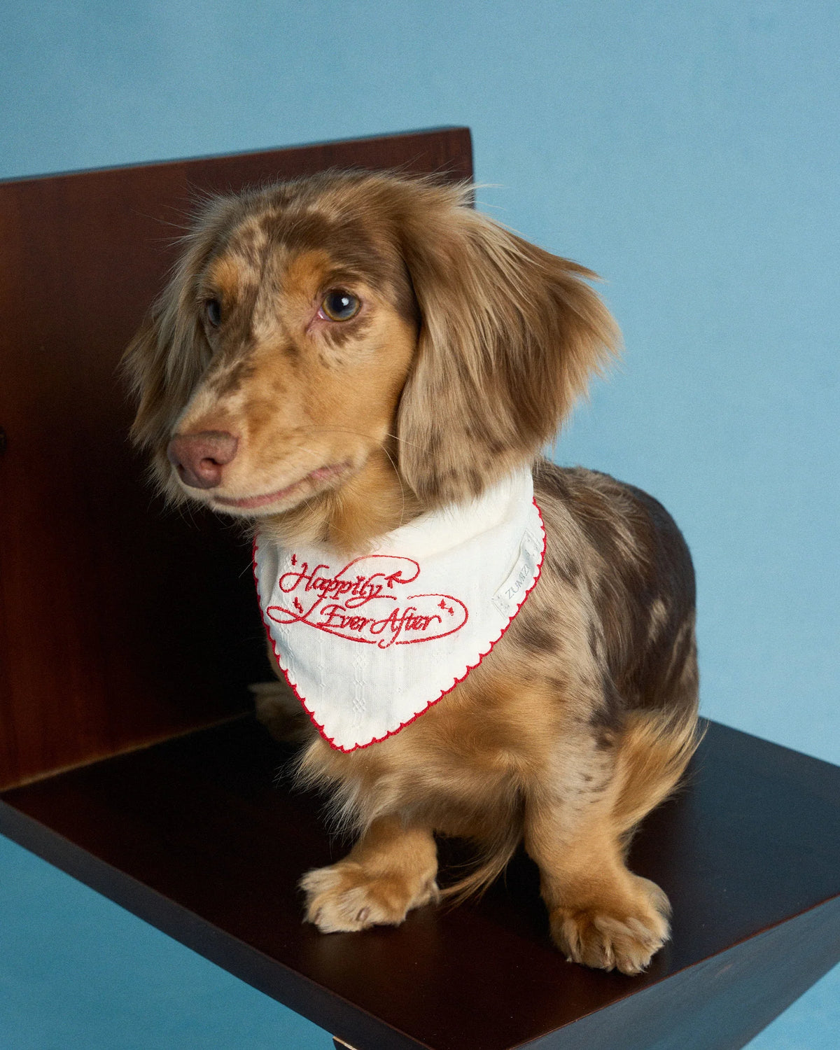 ZUMIZUMI Happily Ever After Bandana in Red & White