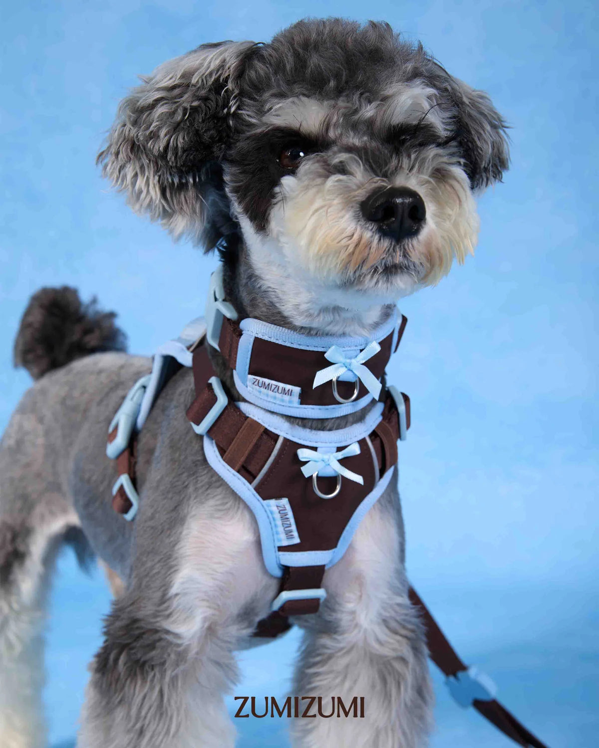 ZUMIZUMI Chelsea Everyday Step-in Harness in Small