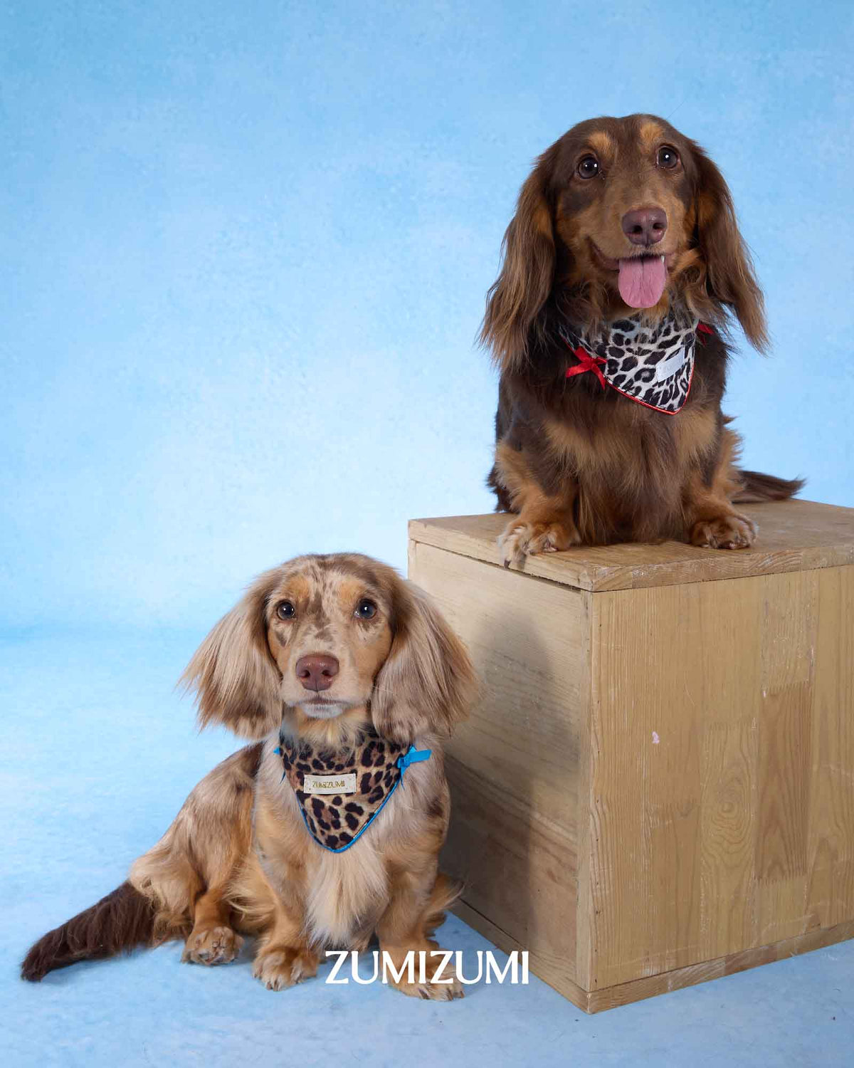 ZUMIZUMI Wild in Red & Leopard Bandana