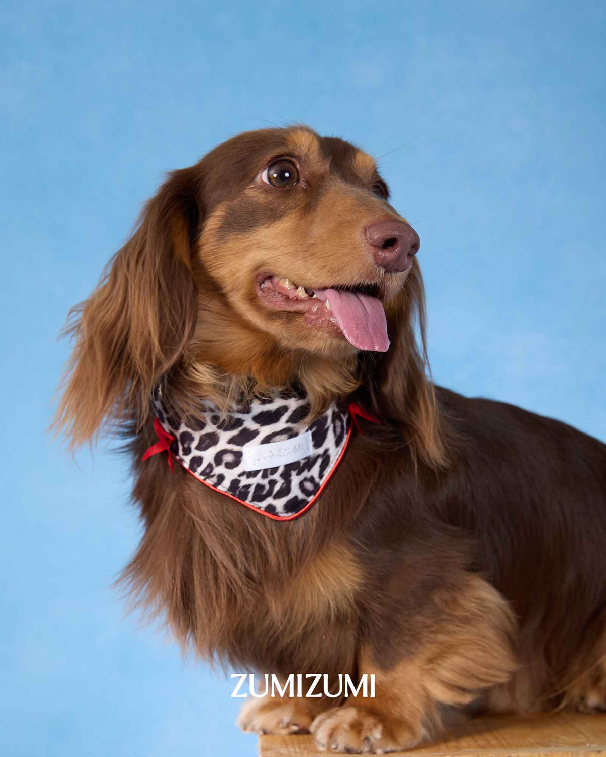 ZUMIZUMI Wild in Red & Leopard Bandana