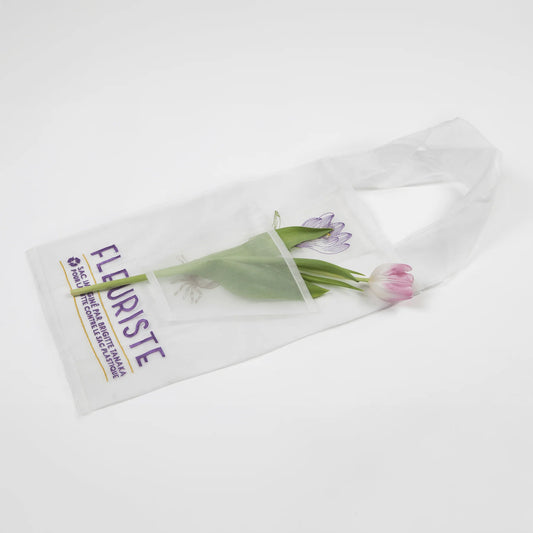 Brigitte Lanaka Organza Bag  in 
Florist Bulb embroidered pattern