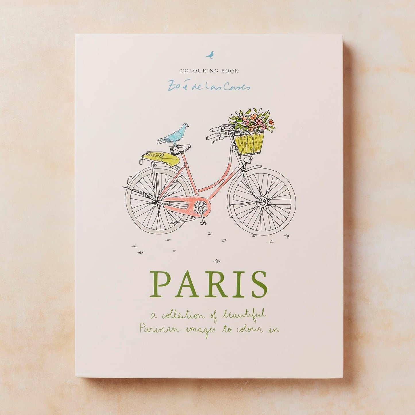 A book titled 'PARIS' with a pastel illustration of a bicycle carrying flowers, a bird, and a small bird on the seat, photographed against a warm beige textured background.