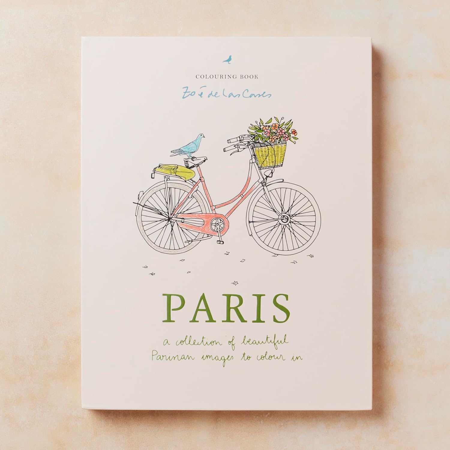 A book titled 'PARIS' with a pastel illustration of a bicycle carrying flowers, a bird, and a small bird on the seat, photographed against a warm beige textured background.
