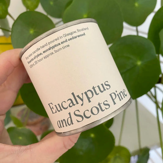 Hand holding a candle labeled 'Eucalyptus and Scots Pine' with green leaves in the background