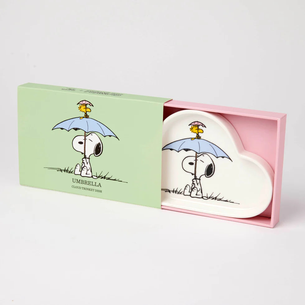 Cloud shaped product with Snoopy design in a pink box on a light gray background
