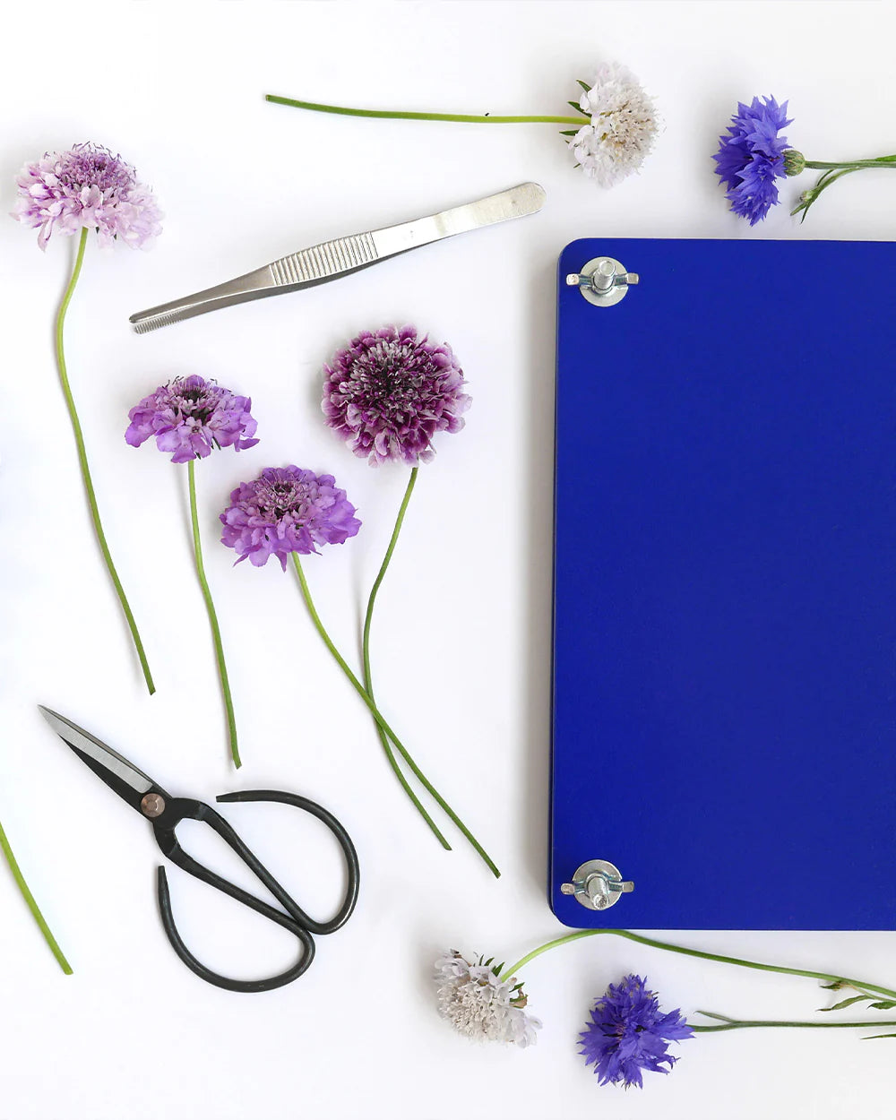 Printworks Crafting Tool Flower Press Kit