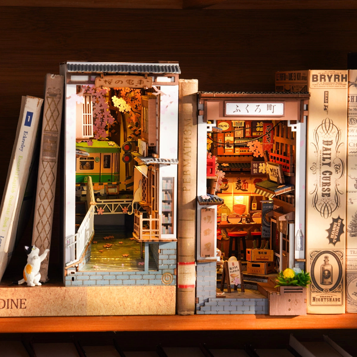 Rolife Book Nook Shelf Insert - Sakura Densya