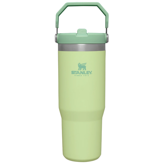 Stanley Classic Iceflow Flip Straw Tumbler 0.89L in Citron green