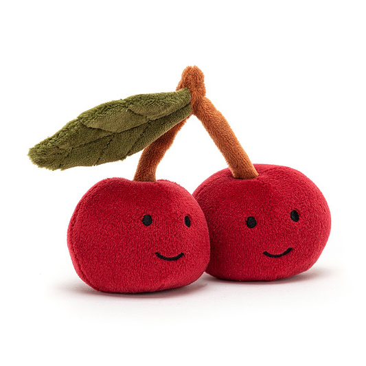 Two smiling cherrys on a stem with a green leaf