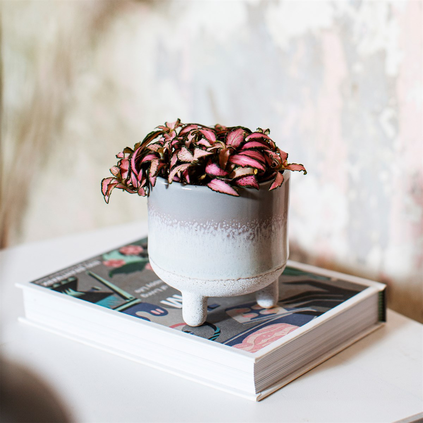 the plant pot on a side table with a pink plant in  it