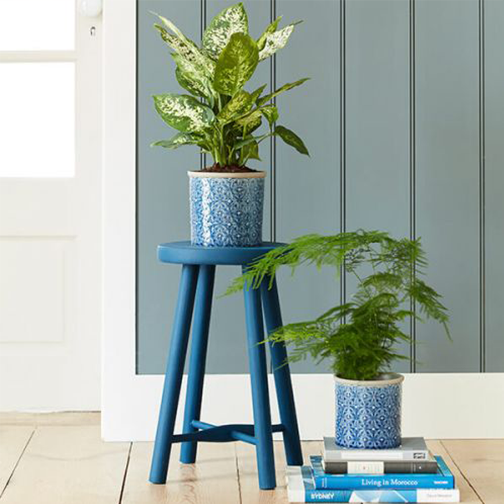 two plant pots housing leafy plants upon a stool and a stack of books